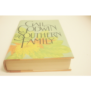 A Southern Family a novel by Gail Goodwin Available at thebookchateau.com