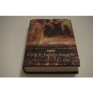 City of Fallen Angels a novel by Cassandra Clare Available at thebookchateau.com
