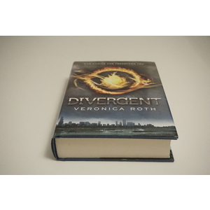 Divergent a novel by Veronica Roth Available at thebookchateau.com