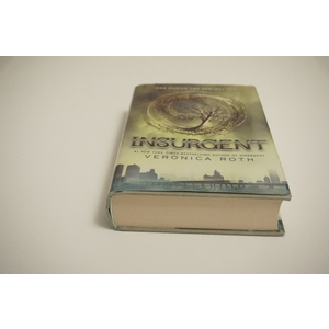 Insurgent a novel by Veronica Roth Available at thebookchateau.com