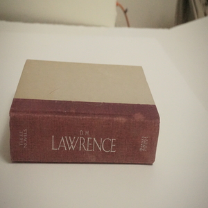 D.H Lawrence 3 Novels Available at thebookchateau.com