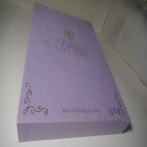 The Super Adventure of Sophie and the City by Kelly Florio Kasouf . Published by South China Publishing